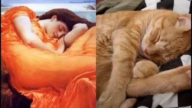 Коты как шедевры (забавное сходство) смотреть онлайн