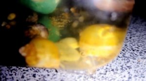 Чем кормить( маленьких ампулярий) :