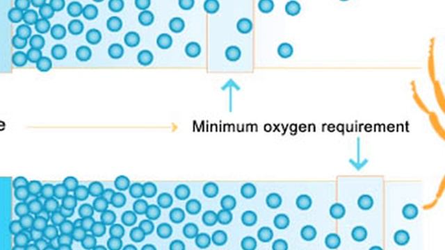 Walking with Monsters mini-series review смотреть онлайн