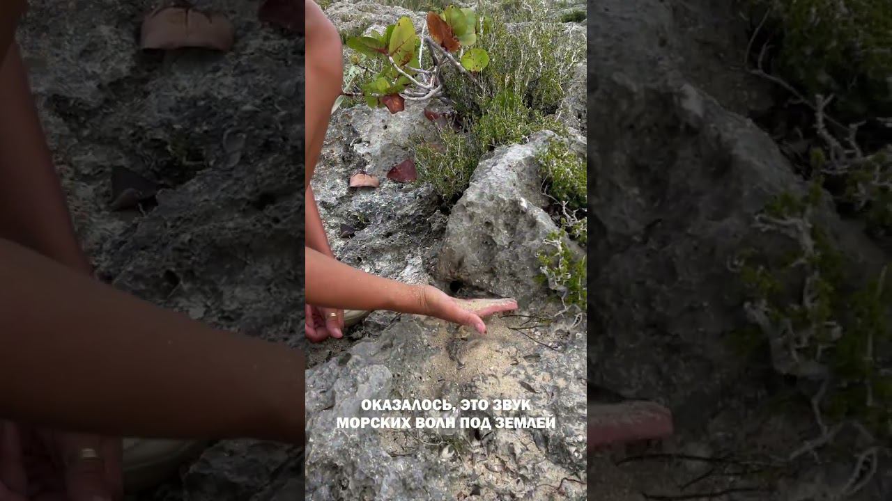 Вы тоже это слышите? смотреть онлайн