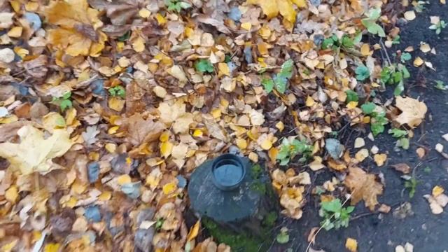 Мой забег на 3 км. в парке Фили. смотреть онлайн
