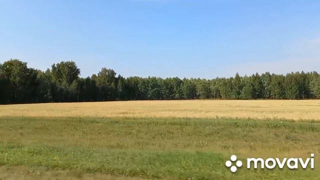 Природа Петропавловска. СКО. смотреть онлайн