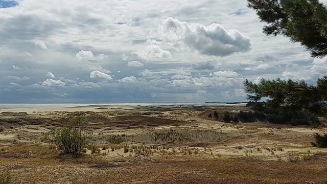 Национальный парк Куршская коса. Калининградская область. Балтийское море. смотреть онлайн