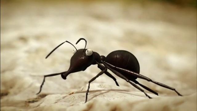 Minuscule S01E18 смотреть онлайн