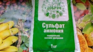 Сульфат аммония или Аммоний сернокислый. Альтернатива мочевине для исключения накопления нитратов.