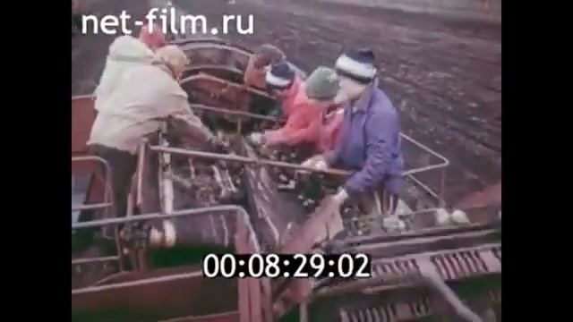 1984г. Уральская картошка. Челябинская область смотреть онлайн