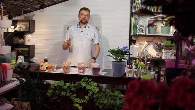 Что посеять в феврале? смотреть онлайн