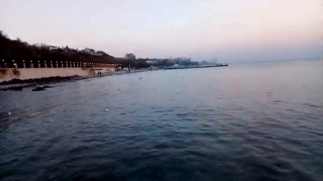 Вечернее море, чайки и волны смотреть онлайн