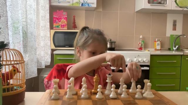 Учимся играть в шахматы смотреть онлайн