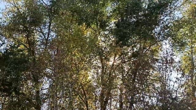 Как влияют дни недели на нашу жизнь... Как этим воспользоваться себе во благо... смотреть онлайн