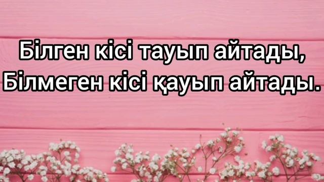 Білім туралы мақал мәтелдер смотреть онлайн