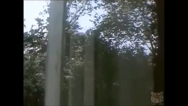 ПРОЩАЙ БУДУЛАЙ смотреть онлайн