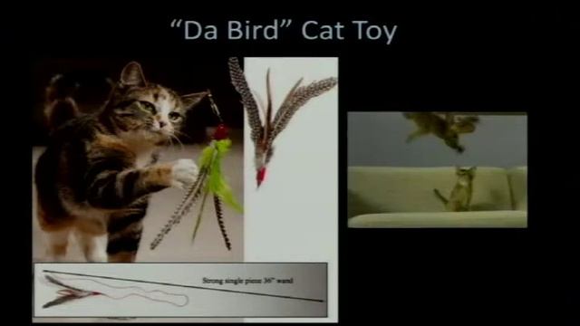 IGS 2007: Matthew Wegner - 'Physics Games Go Indie' lecture смотреть онлайн