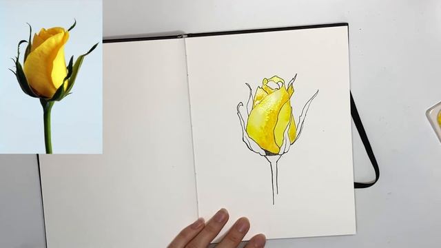 Рисуем розу / скетчинг уроки /акварельный скетчинг