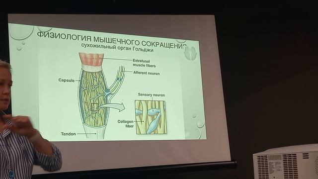 05.10.2023.8 смотреть онлайн