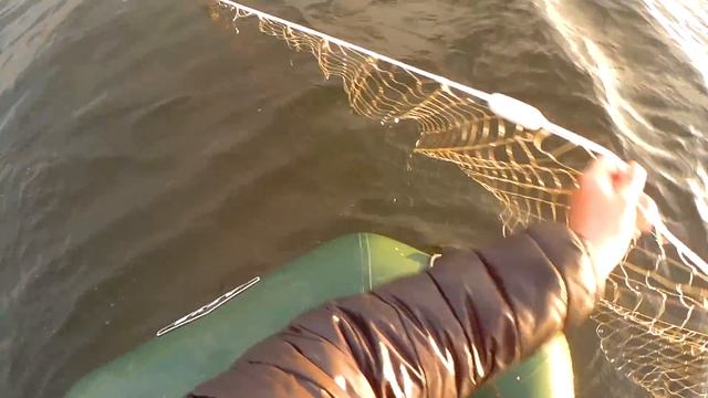 Богатое рыбой озеро!Сиг,Чир,Голец!!! смотреть онлайн