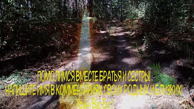 ?СЕЙЧАС ПРОЧТИ МОЛИТВУ ПРОСИ ЗДОРОВЬЯ И ИСЦЕЛЕНИЯ! Иисусова молитва. Иисус Христос - православие? смотреть онлайн