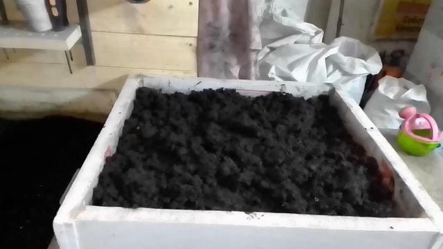 Старатель 1. Снимаю нижние ящики самодельного компостера смотреть онлайн