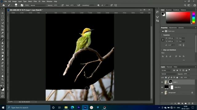 How to edit a bird photo/ Wildlife photo editing. смотреть онлайн