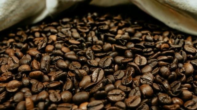 ОШО — 13 Истинное лицо человеческой природы смотреть онлайн