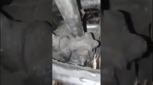 Снятие механической коробки передач - ниссан примера Р12