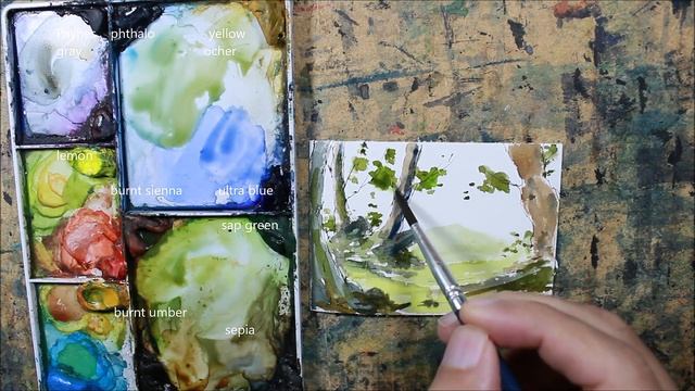 How to draw and paint ACEO SKETCH CARD Full real time watercolor by Nil Rocha смотреть онлайн