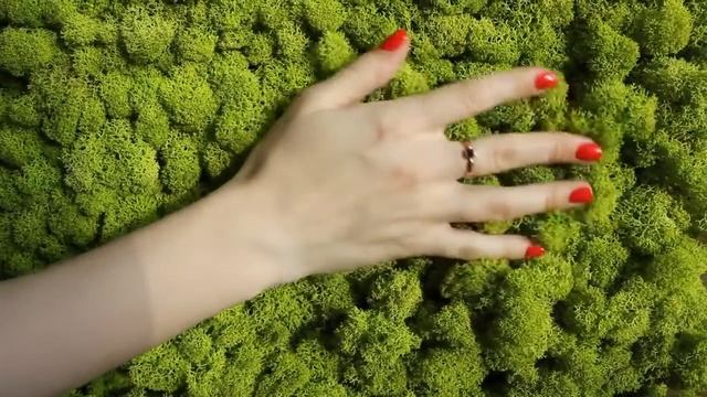 Цвета Прованса смотреть онлайн