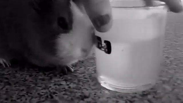 Tomas смотреть онлайн