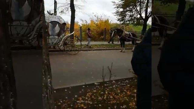 Суздаль . смотреть онлайн