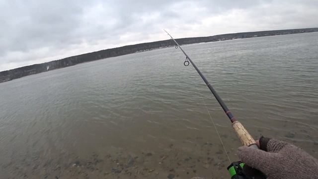 ЛЕЩ, СУДАК, НАЛИМ, ЩУКА / Закрываю сезон на СЕВЕРНОМ ОБЪЕЗДЕ / Рыбалка в Новосибирске. смотреть онлайн