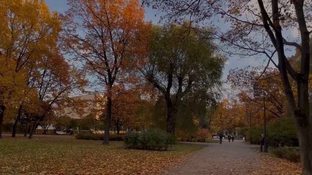 Тёплый учебный влог