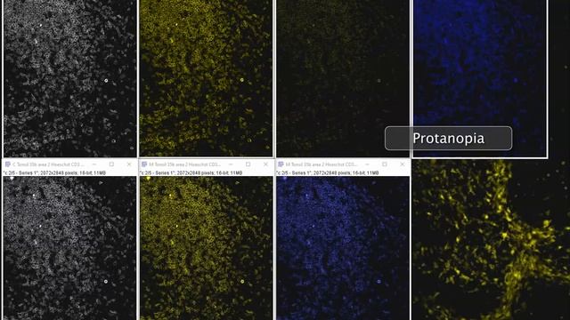 Colors of magic - Color Oracle смотреть онлайн