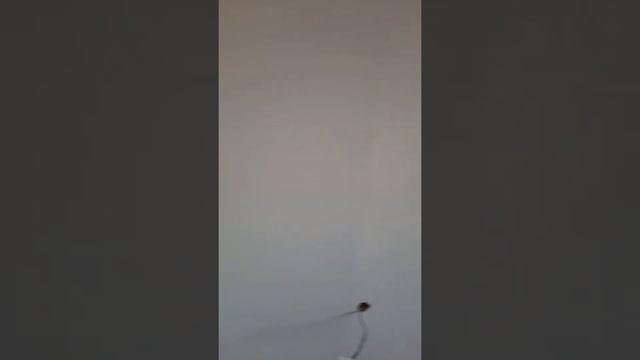 Штукатурка стен Самара ЖК НОВАЯ САМАРА +79272060698 смотреть онлайн