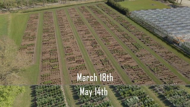 Peony Showgarden Holland 2022-05-17 смотреть онлайн