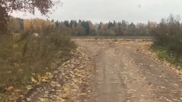 Рыбалка в Твери смотреть онлайн