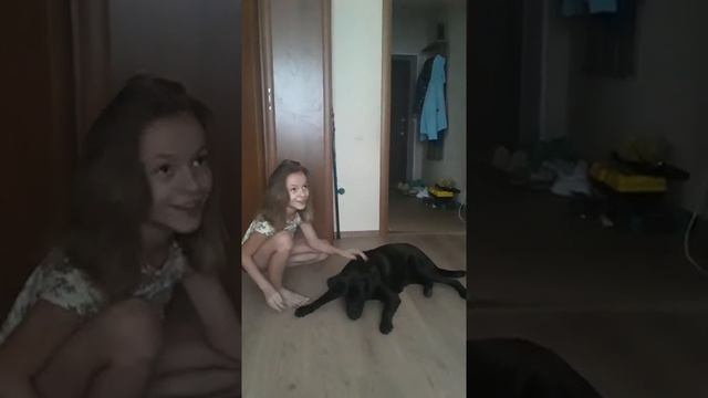 Наш милый подкидыш. Одадим в добрые ручки.