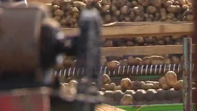 Картошка Урожай и цены смотреть онлайн