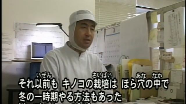 Выращивание грибов смотреть онлайн