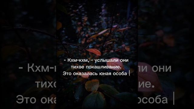 Сделала #буктрейлер к моей книге "Рыжие Попаданцы" #писатель #моякнига #katenka_storyteller смотреть онлайн