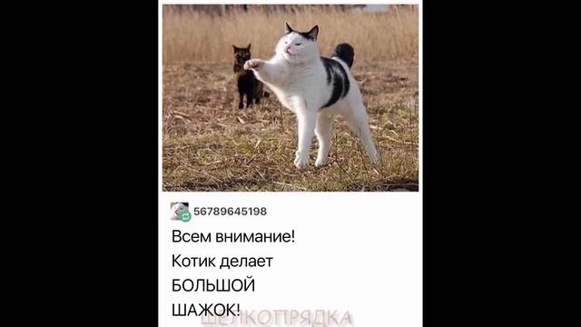 Смешные картинки выпуск #145 смотреть онлайн