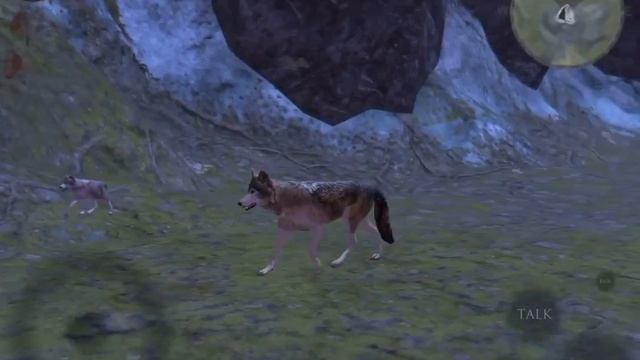 Ultimate Wolf Simulator 2 update glitch: RAVENRUN and SNOWSWIPE are PUPS!? смотреть онлайн
