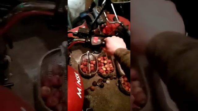 Минск Д4 в зимний период. смотреть онлайн