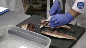 Секреты в приготовлении пресервов из сельди