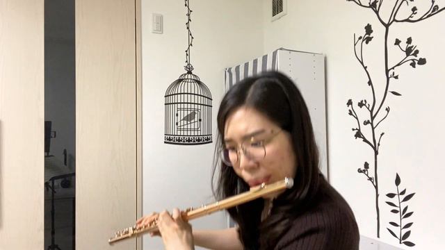 【Flute】Paganini caprices No.11 смотреть онлайн
