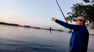 Энгельс, рыбалка на набережной. май 2021г