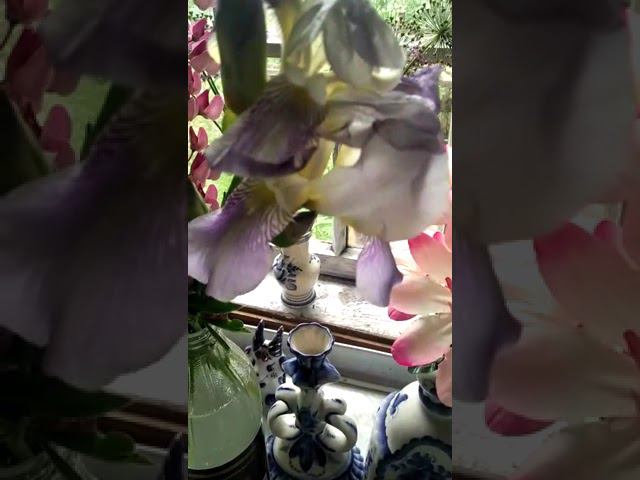 19 июня 2022 г. смотреть онлайн