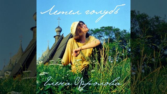 Летел голубь