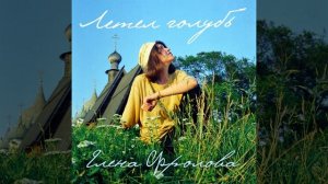 Летел голубь