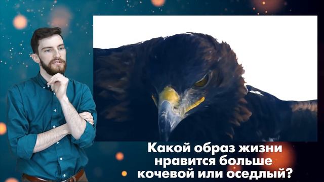 Американцы в Казахстане и другие приключения Генри Бринка смотреть онлайн