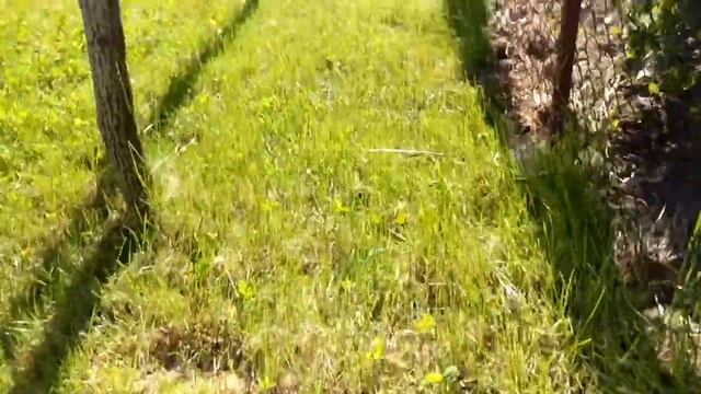 Как сберечь искусственный пруд? А очень просто)! смотреть онлайн